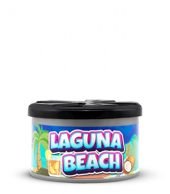 Pack de 2 latas California Car Scents: Ambientador de Coche con